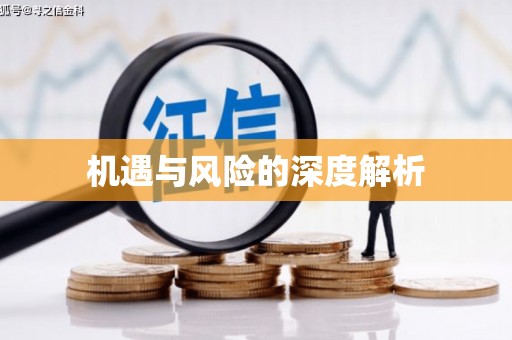 临翔机遇与风险的深度解析