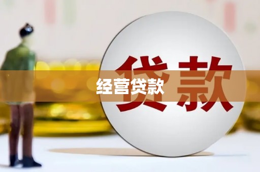 临翔经营贷款