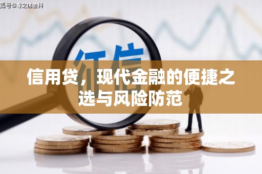 临翔信用贷，现代金融的便捷之选与风险防范
