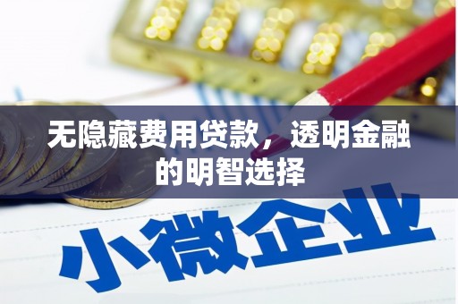 临翔无隐藏费用贷款，透明金融的明智选择