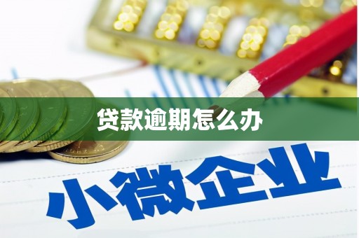 临翔贷款逾期怎么办