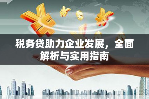 临翔税务贷助力企业发展，全面解析与实用指南