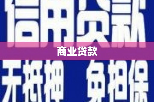 临翔商业贷款