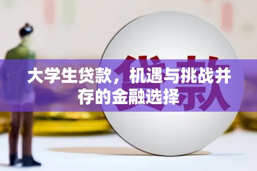 临翔大学生贷款，机遇与挑战并存的金融选择