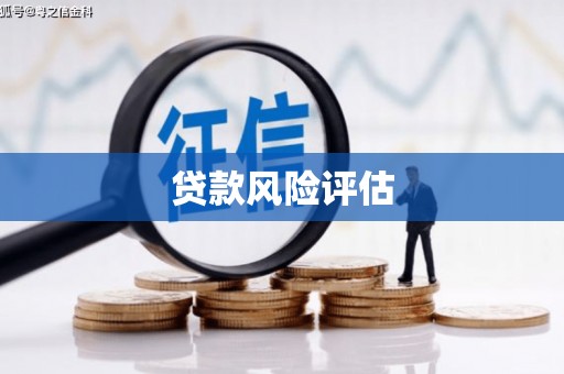 临翔贷款风险评估