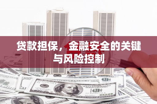 临翔贷款担保，金融安全的关键与风险控制