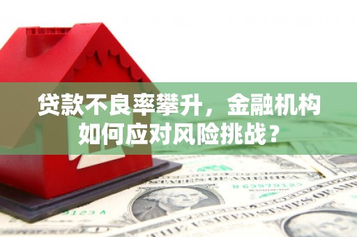 临翔贷款不良率攀升，金融机构如何应对风险挑战？