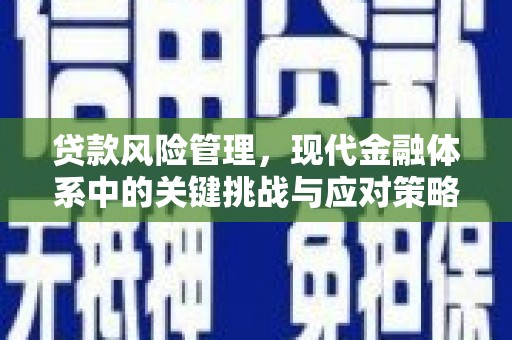 临翔贷款风险管理，现代金融体系中的关键挑战与应对策略