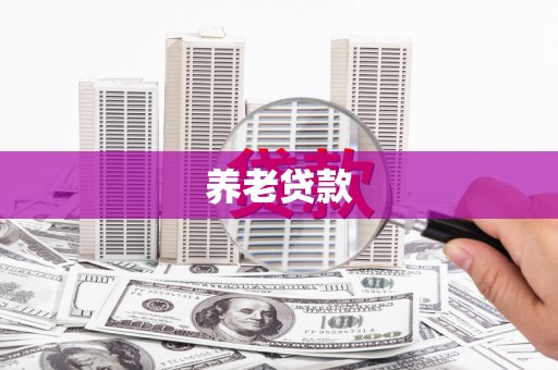 临翔养老贷款