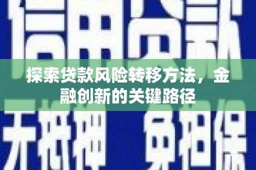 临翔探索贷款风险转移方法，金融创新的关键路径