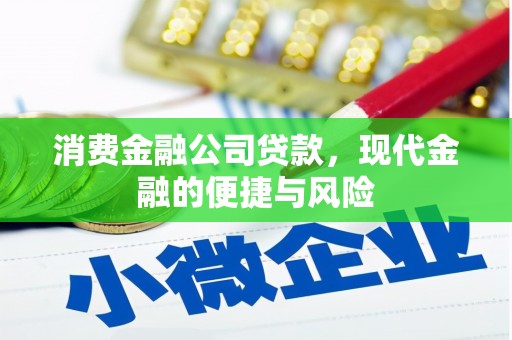 临翔消费金融公司贷款，现代金融的便捷与风险