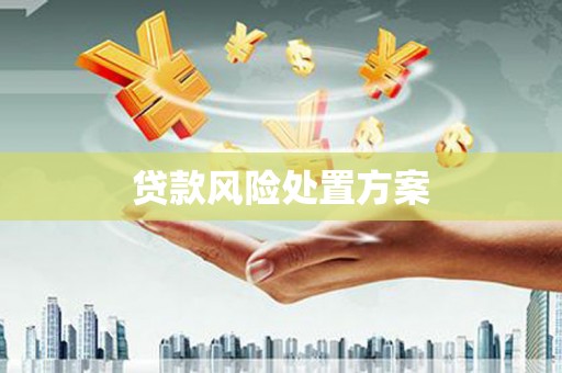 临翔贷款风险处置方案