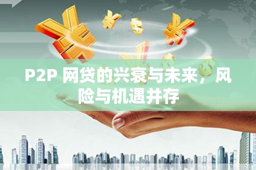临翔P2P 网贷的兴衰与未来，风险与机遇并存