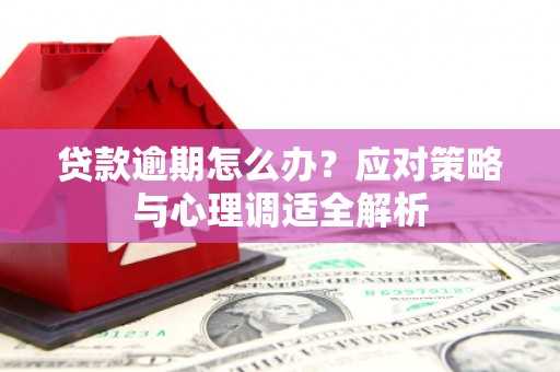 临翔贷款逾期怎么办？应对策略与心理调适全解析
