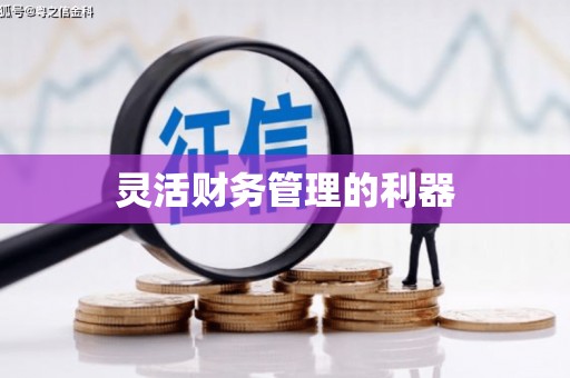 临翔灵活财务管理的利器