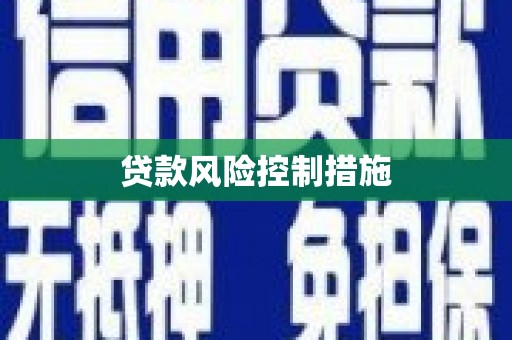 临翔贷款风险控制措施