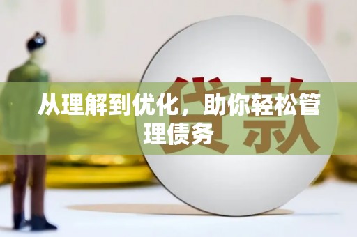临翔从理解到优化，助你轻松管理债务