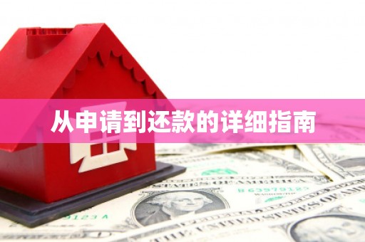 临翔从申请到还款的详细指南