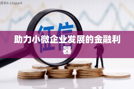 临翔助力小微企业发展的金融利器