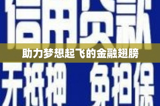 临翔助力梦想起飞的金融翅膀
