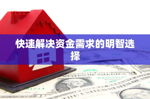 临翔快速解决资金需求的明智选择