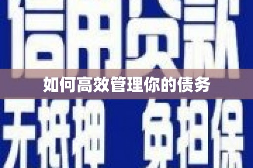 临翔如何高效管理你的债务