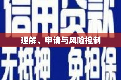 临翔理解、申请与风险控制