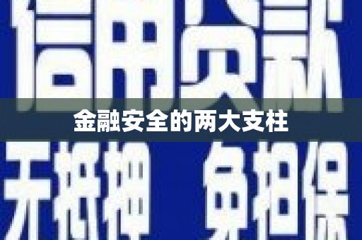 临翔金融安全的两大支柱