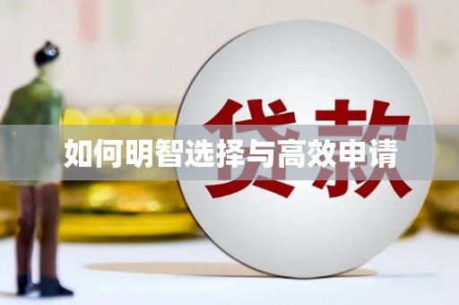临翔如何明智选择与高效申请