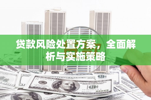 临翔贷款风险处置方案，全面解析与实施策略