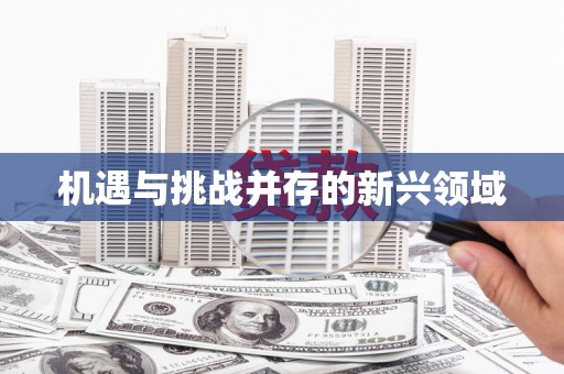临翔机遇与挑战并存的新兴领域