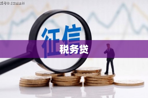 临翔税务贷
