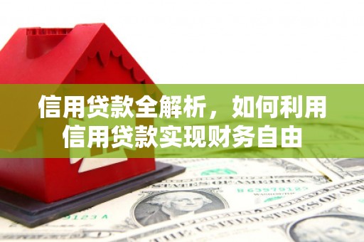 临翔信用贷款全解析，如何利用信用贷款实现财务自由