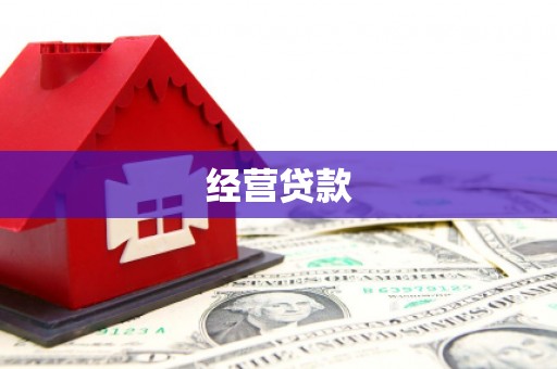 临翔经营贷款