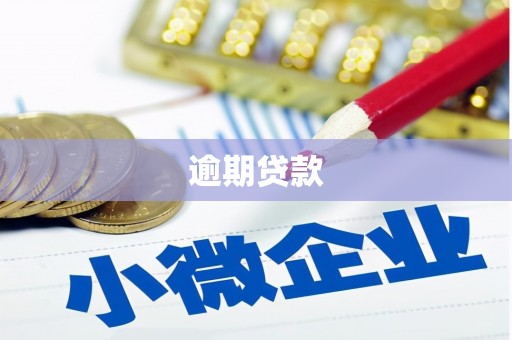 临翔逾期贷款