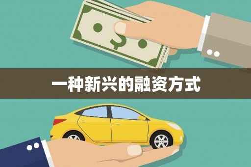 临翔一种新兴的融资方式