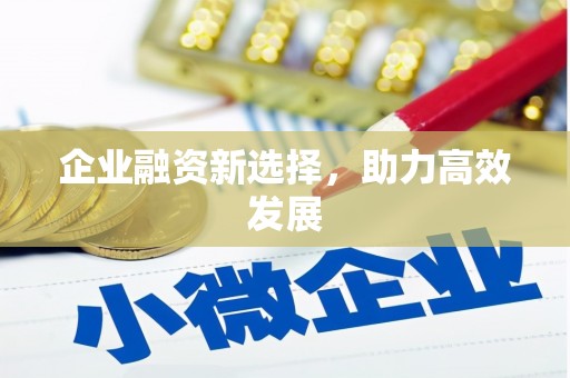 临翔企业融资新选择，助力高效发展