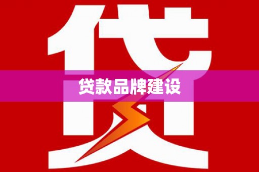 临翔贷款品牌建设
