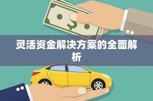 临翔灵活资金解决方案的全面解析