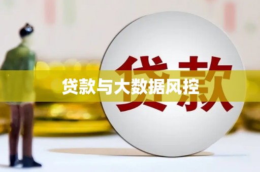 临翔贷款与大数据风控