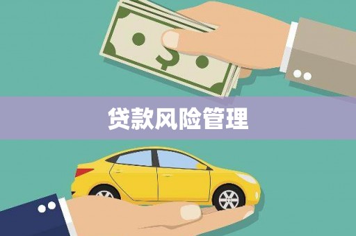 临翔贷款风险管理