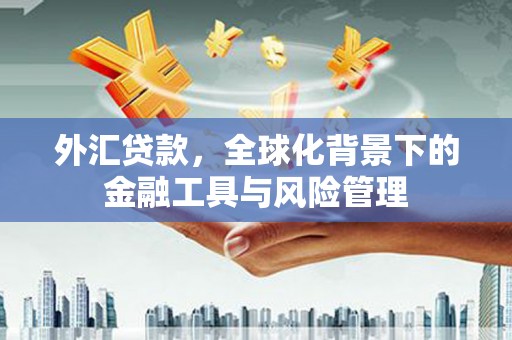 临翔外汇贷款，全球化背景下的金融工具与风险管理
