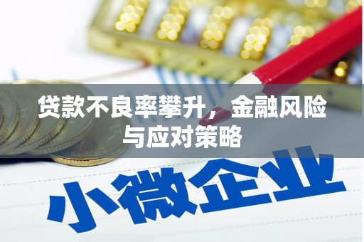 临翔贷款不良率攀升，金融风险与应对策略