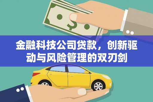 临翔金融科技公司贷款，创新驱动与风险管理的双刃剑